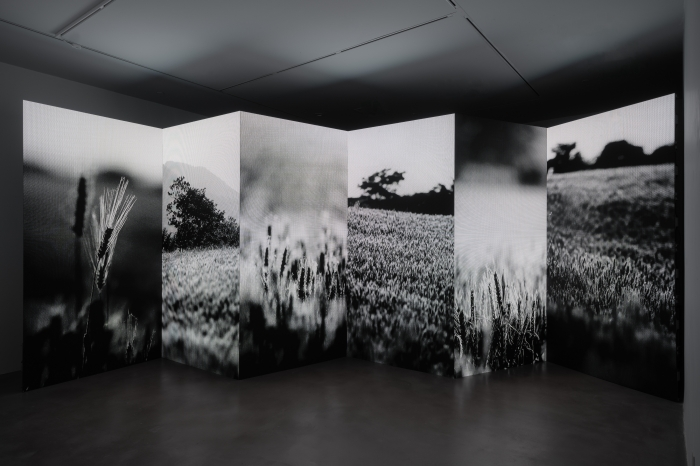 “山水行动——新媒体影像装置艺术展”（上海站）开幕插图3中国题字网