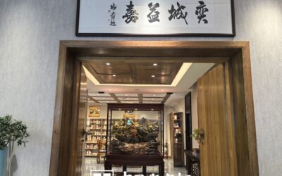 数字化转型：中国复兴的新赛道与新机遇缩略图中国题字网