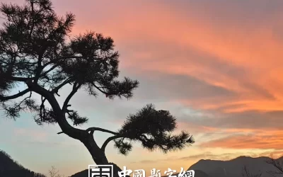 中华经典｜《文心雕龙》内容全览与解析缩略图中国题字网