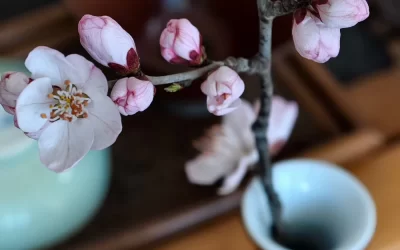 中华经典｜《荀子》内容全览与解析缩略图中国题字网