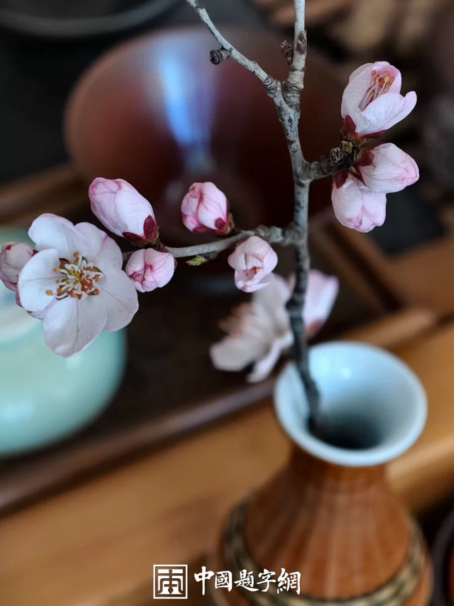 中华经典｜《荀子》内容全览与解析插图中国题字网