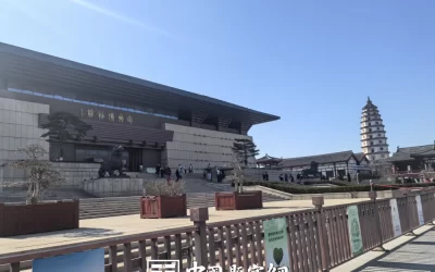名人名家题词故事｜何家英题“笔墨传情”，画家的笔墨情怀缩略图中国题字网