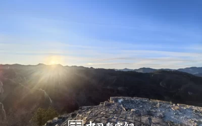中式门头题字的配色学问：金字黑底、黑字红木底区别缩略图中国题字网