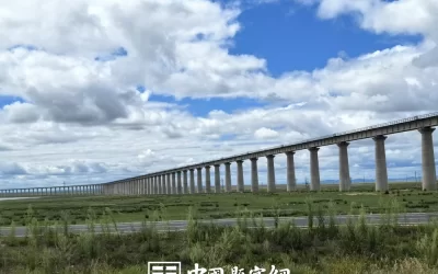 书法进课堂的意义：在书写中传承文化根脉缩略图中国题字网