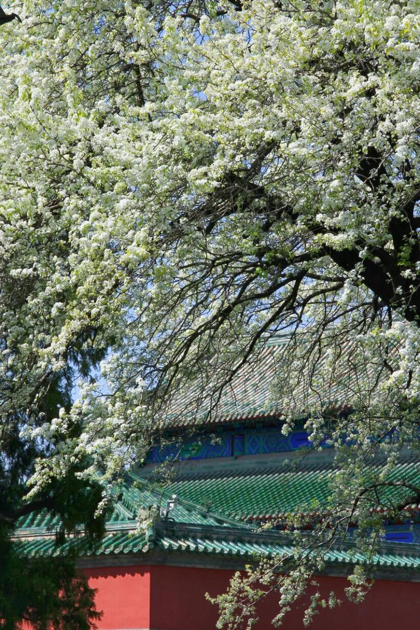 北京十大旅游景点-天坛插图2中国题字网