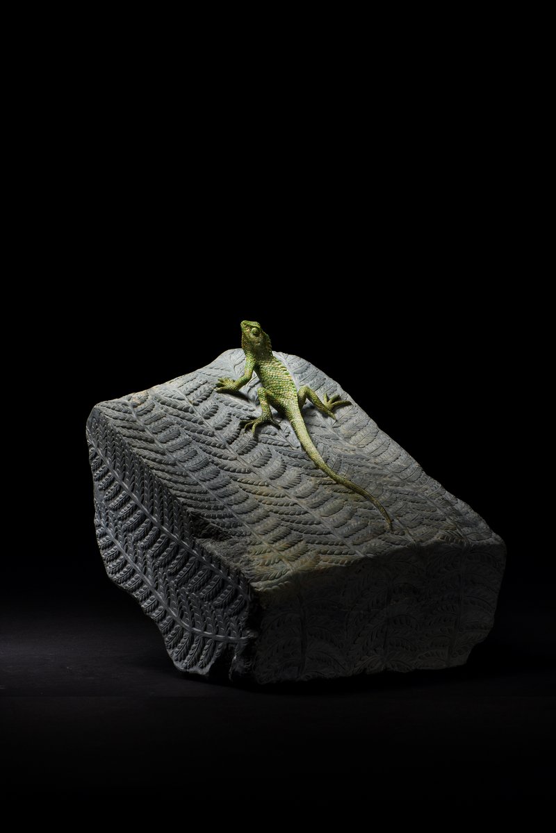 “大匠之道——潘惊石雕刻艺术作品展”在中国美术馆开幕插图14中国题字网
