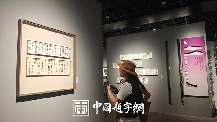 “素心万象——林孝爽书法作品展”浙江美术馆开展插图1中国题字网