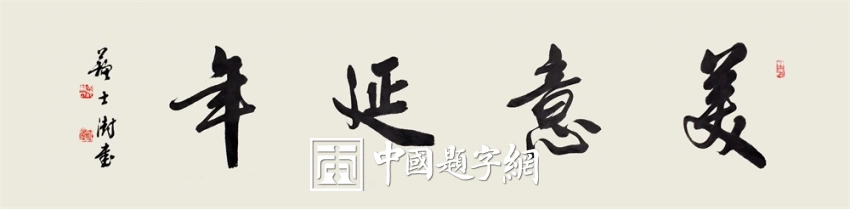 苏士澍书法作品（行书）定制结缘【美意延年】插图1中国题字网